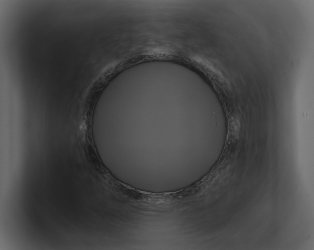 X0000100921254200807151214