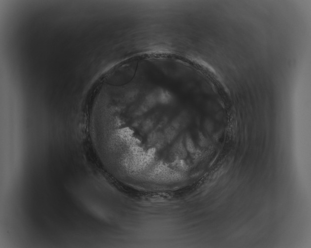 X0000100921255200807151214