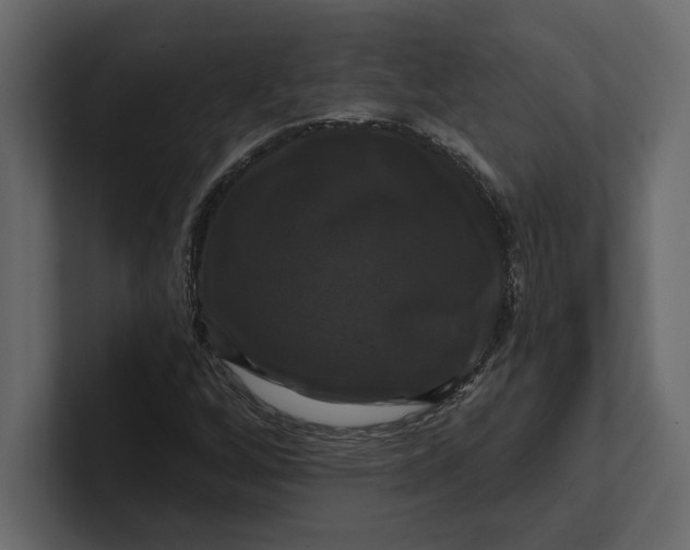 X0000100921256200807151214