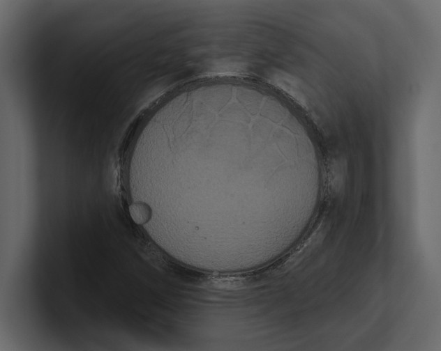 X0000100921258200807151214