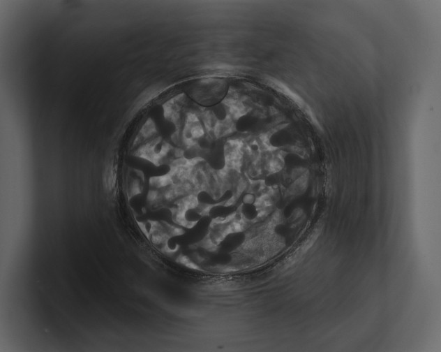 X0000100921259200807151214