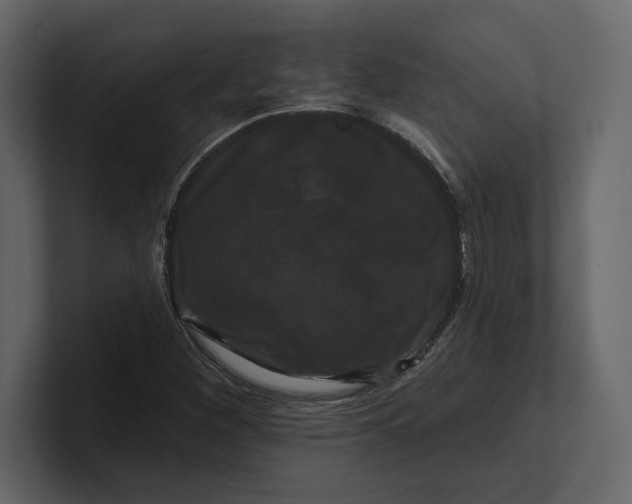 X0000100921260200807151214