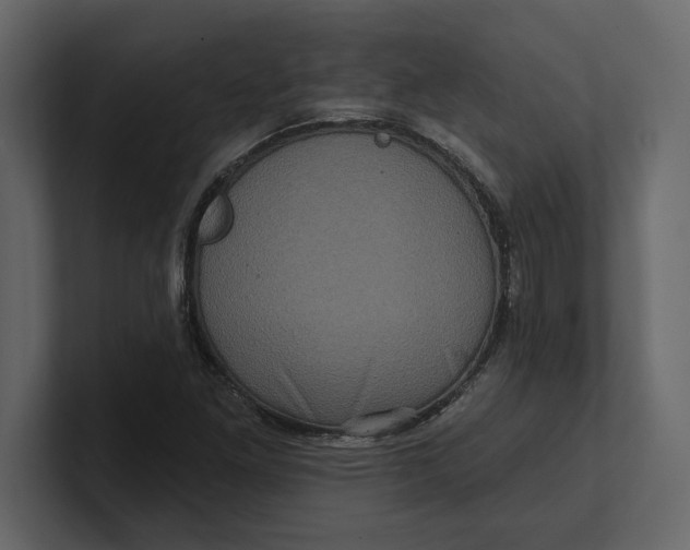 X0000100921261200807151214