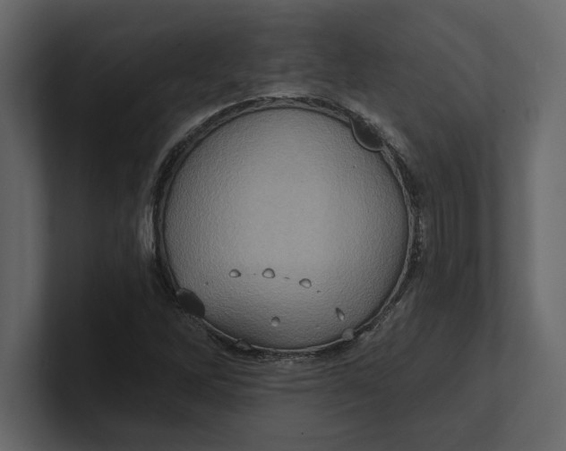 X0000100921262200807151214