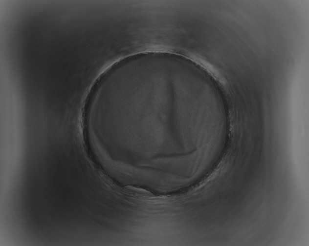 X0000100921264200807151214