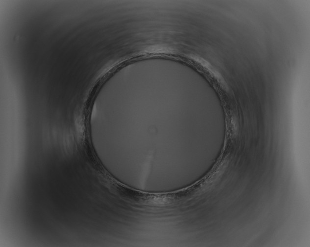 X0000100921266200807151214