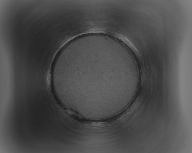 X0000100921268200807151214