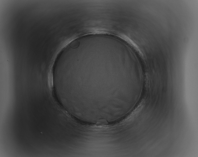 X0000100921269200807151214