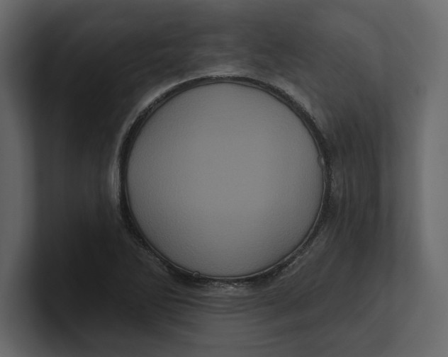 X0000100921270200807151214