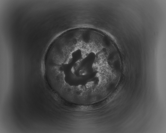 X0000100921271200807151214