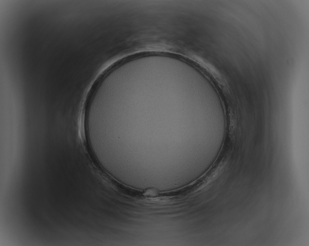 X0000100921272200807151214