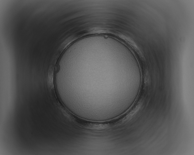 X0000100921273200807151214