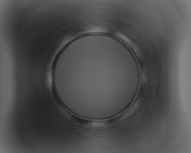 X0000100921274200807151214