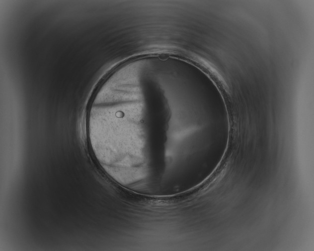 X0000100921275200807151214