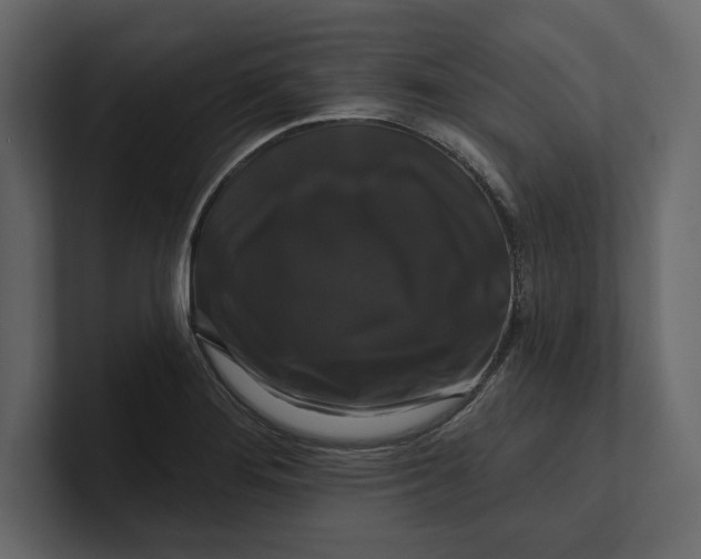 X0000100921276200807151214