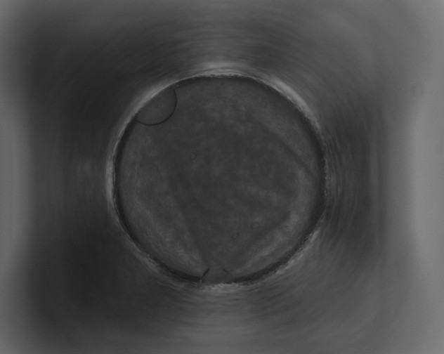 X0000100921277200807151214