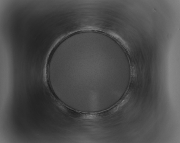 X0000100921278200807151214