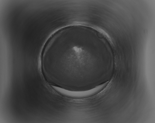 X0000100921280200807151214