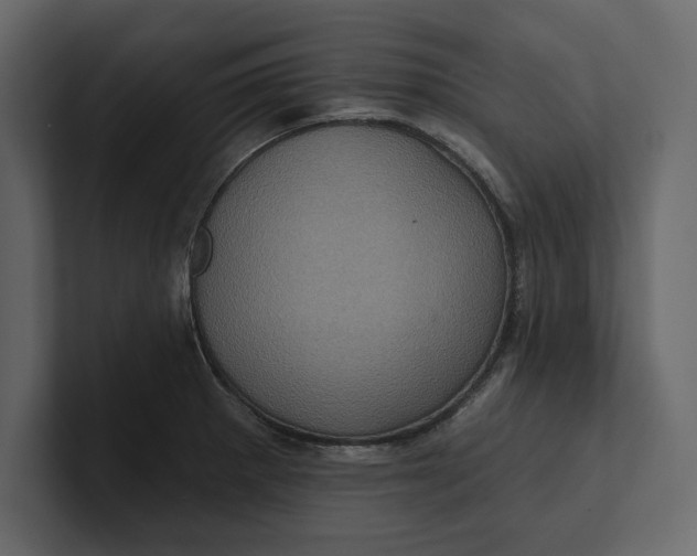 X0000100921281200807151214