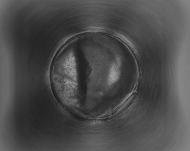 X0000100921283200807151214