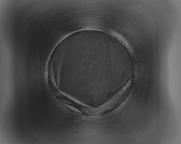 X0000100921284200807151214