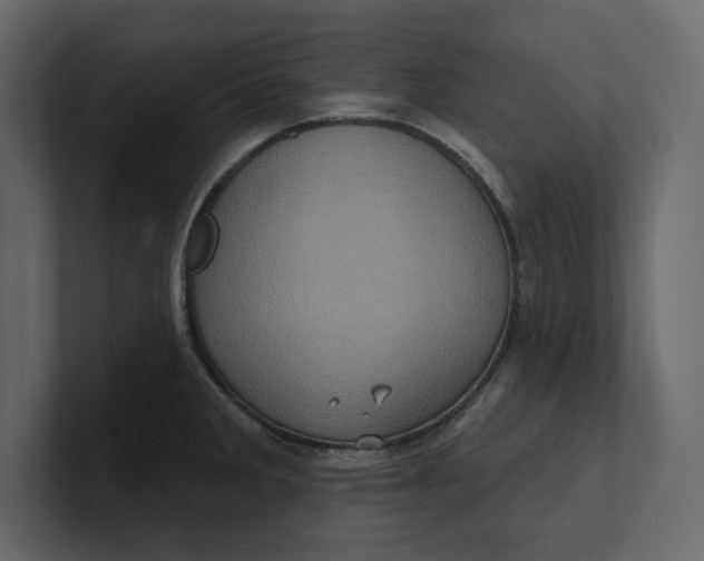 X0000100921285200807151214