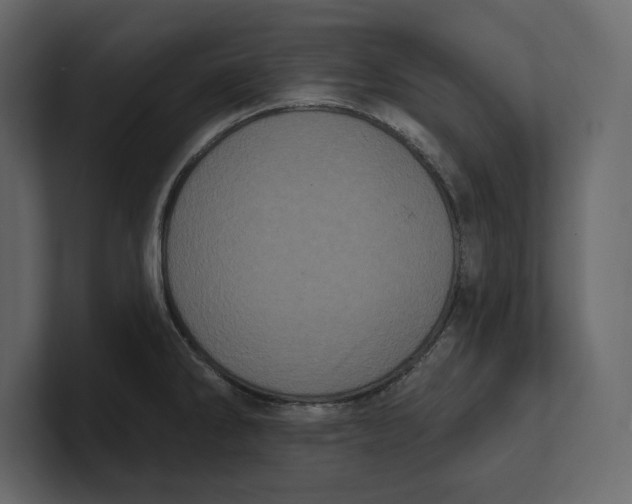 X0000100921286200807151214