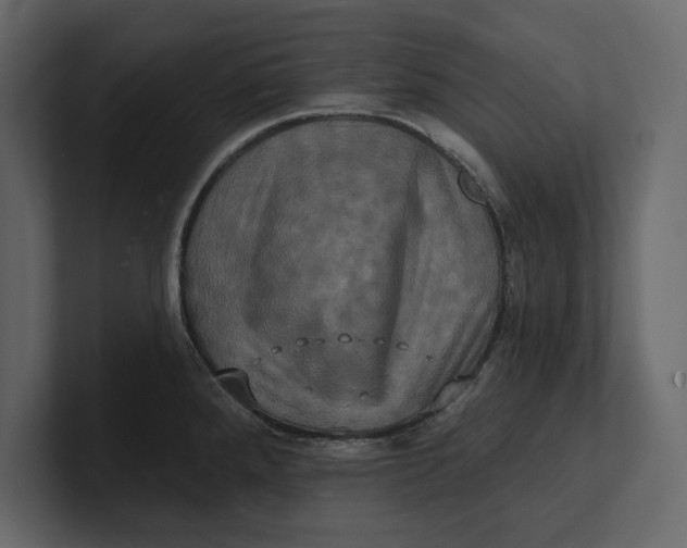 X0000100921288200807151214