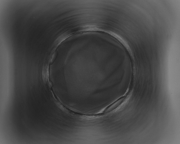 X0000100921289200807151214