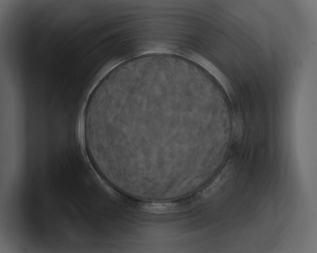 X0000100921290200807151214