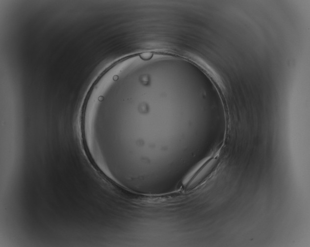 X0000100921291200807151214