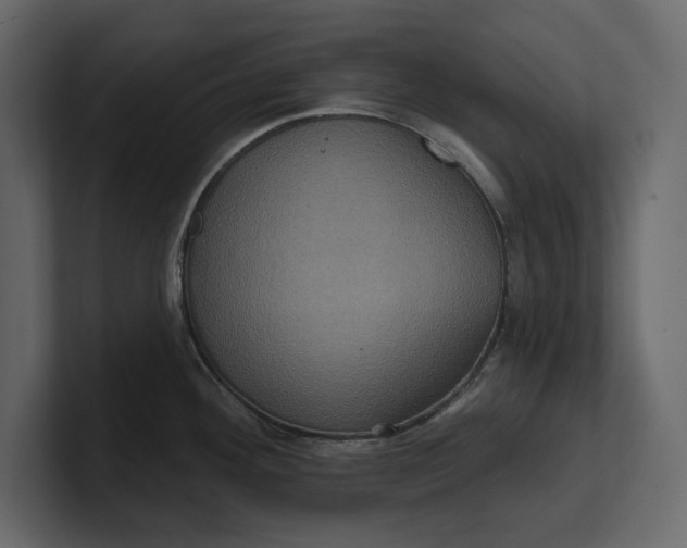 X0000100921292200807151214