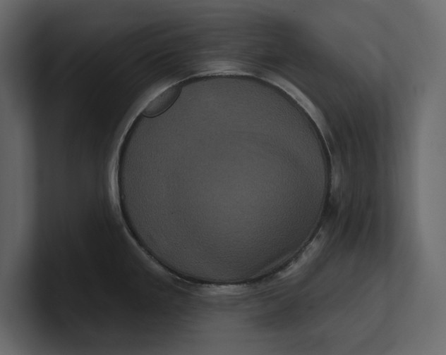 X0000100921293200807151214