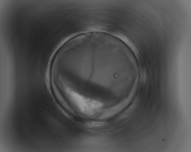 X0000100921294200807151214