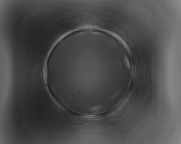 X0000100921295200807151214