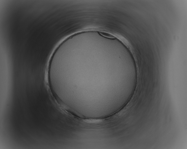 X0000100921296200807151214