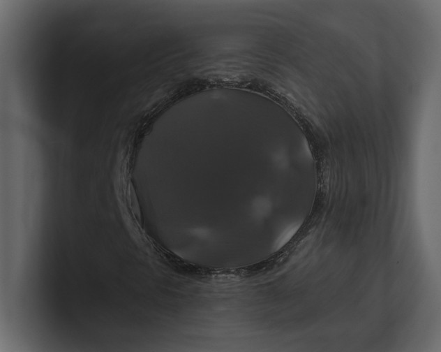 X0000100921297200807151213