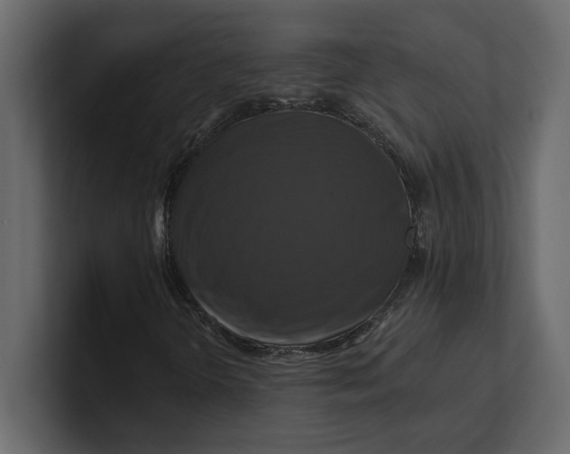 X0000100921298200807151213