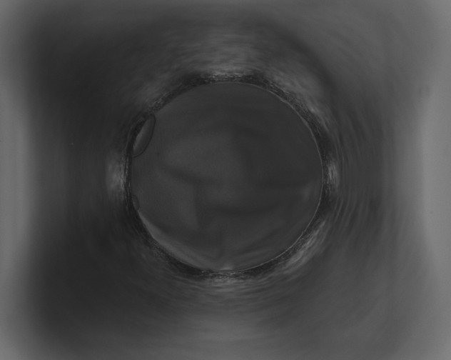 X0000100921300200807151213