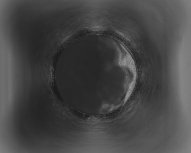 X0000100921301200807151213