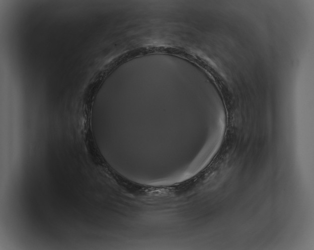 X0000100921303200807151213