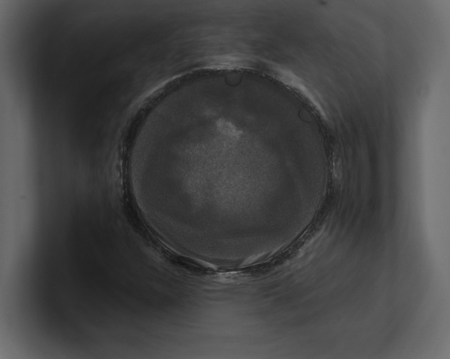 X0000100921304200807151213