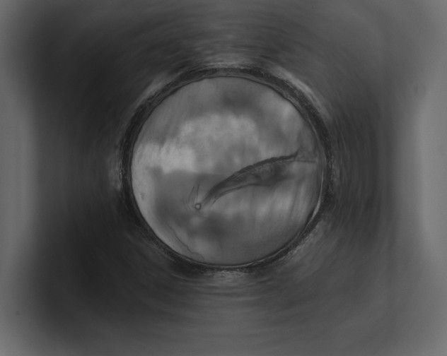 X0000100921306200807151213