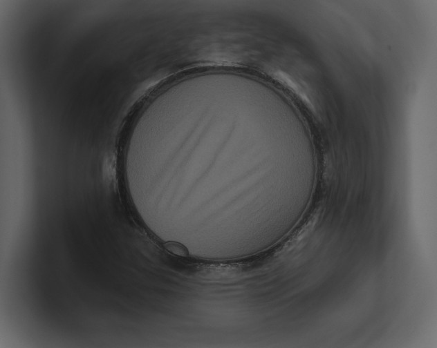 X0000100921307200807151213