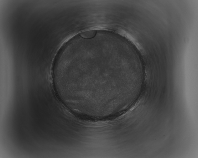 X0000100921308200807151213