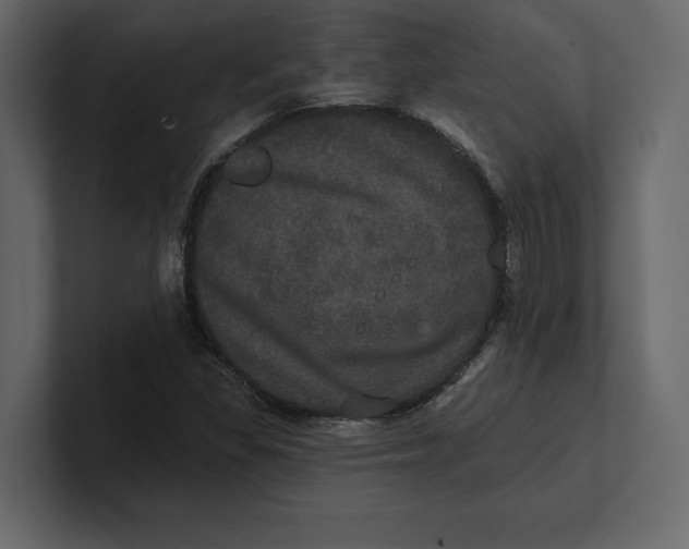 X0000100921309200807151213