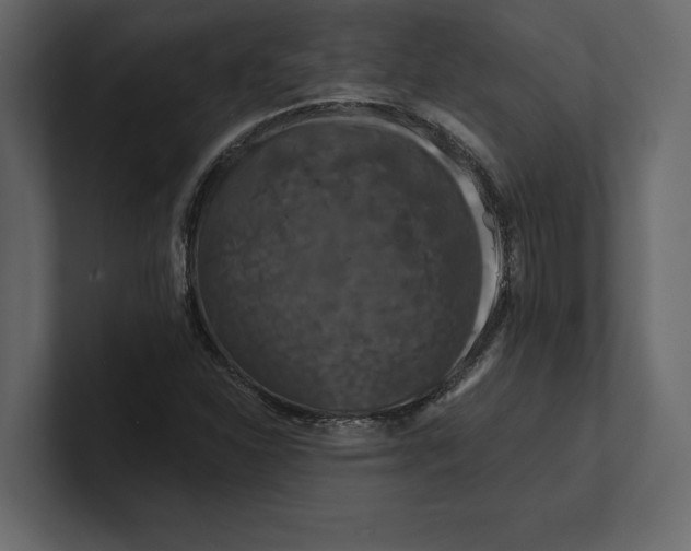 X0000100921310200807151213