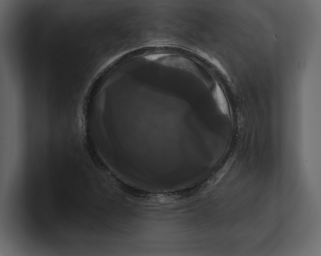 X0000100921311200807151213