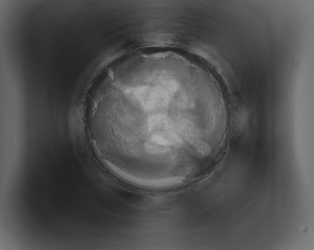 X0000100921314200807151213