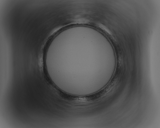 X0000100921315200807151213